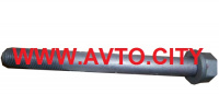 TOYOTA 9011916005 Болт крепления переднего нижнего рычага передний Prado