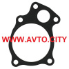Прокладка термостата Iveco Cursor-8  504045785 (99443426)