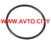 Кольцо уплотнительное 30x2 Iveco Cursor  504077453