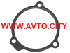 Прокладка топливного насоса Iveco Cursor-8  504045787 (99447382/ 5001858215)